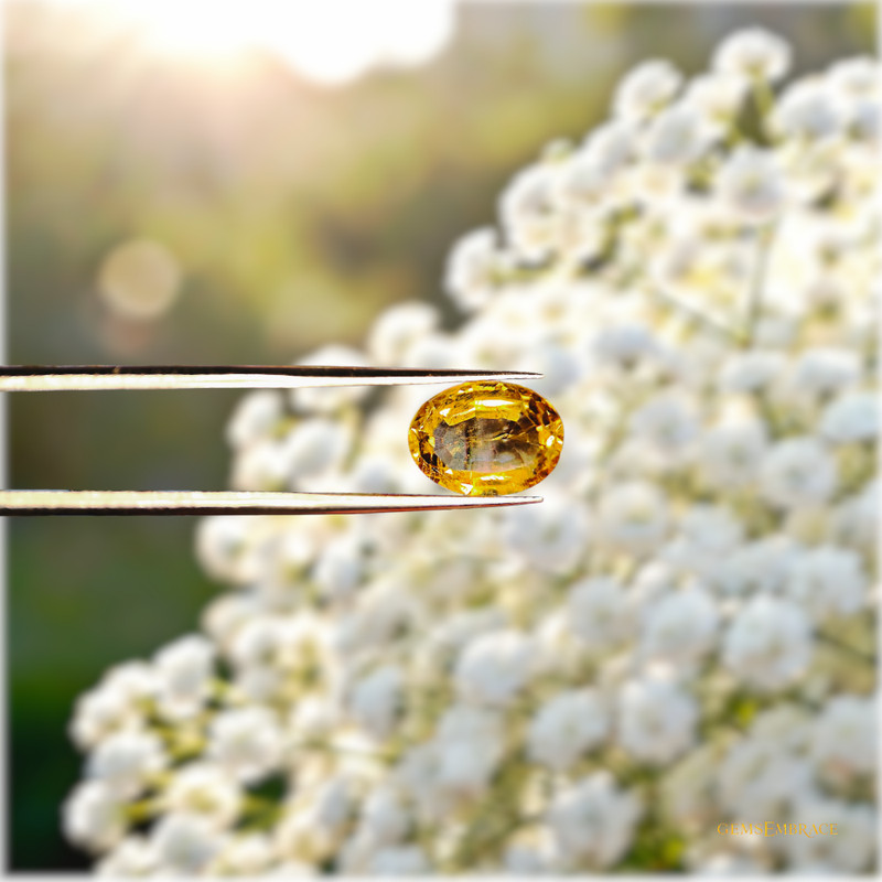 3.35Ct Natural Golden Quartz Unheated Brazil Oval Cut Loose Gemstone 11.5x8.9mm