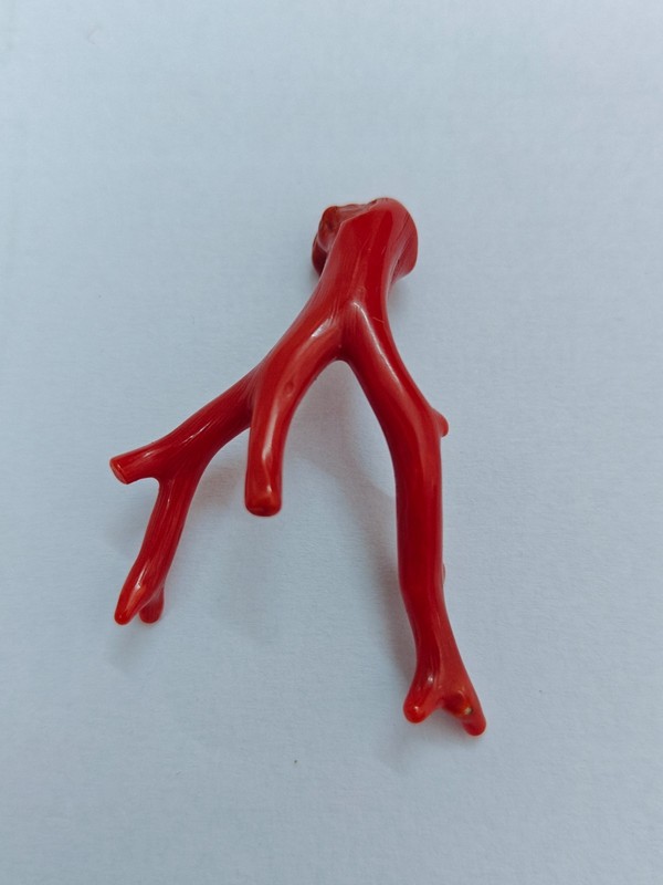 Natural Italy Red Coral Polished Branch Genuine Mediterranean Sea Coral Gemstone gallery