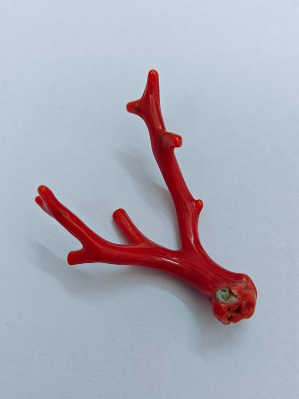 Natural Italy Red Coral Polished Branch Genuine Mediterranean Sea Coral Gemstone gallery