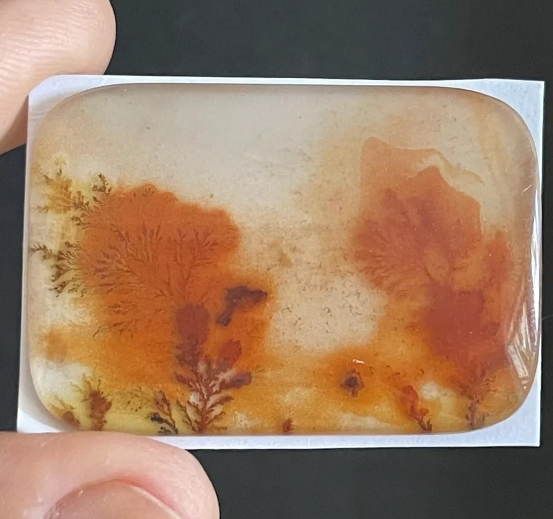 55.5ct 41.4×28.3×5.5mm Collector’s Red Dendritic Agate Crystal Doublet Cabochon