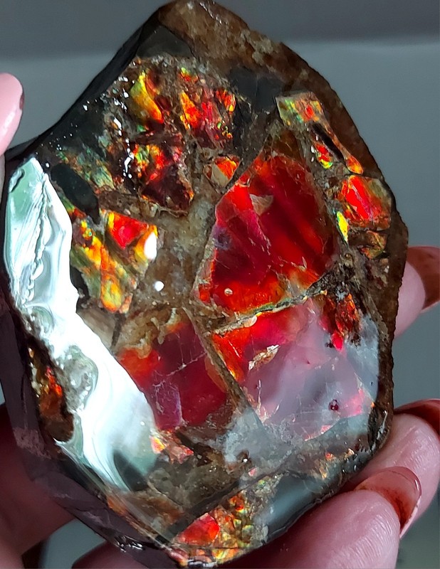 Ammolite Ammonite tabletop Display Piece 70.6x63x29.8mm 4072