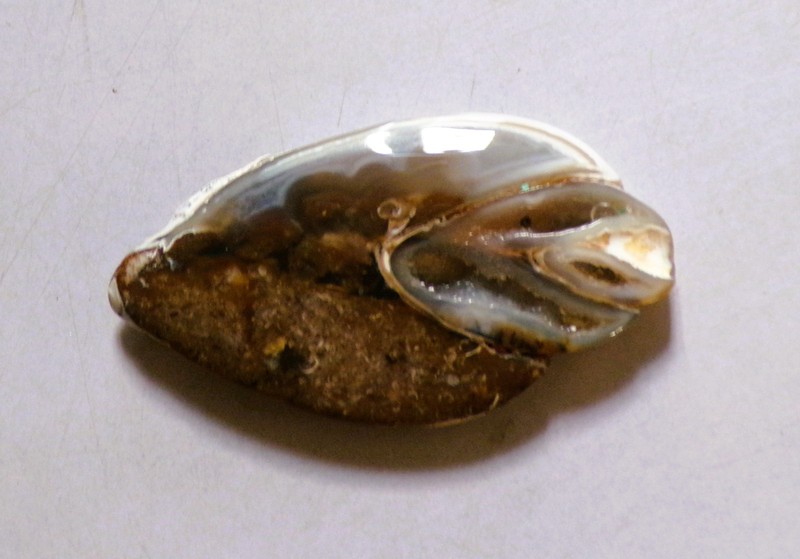 53.50 Cts Natural Snail Fossil Druzy Cabochon Loose Gemstone 47X26X6MM 32 gallery
