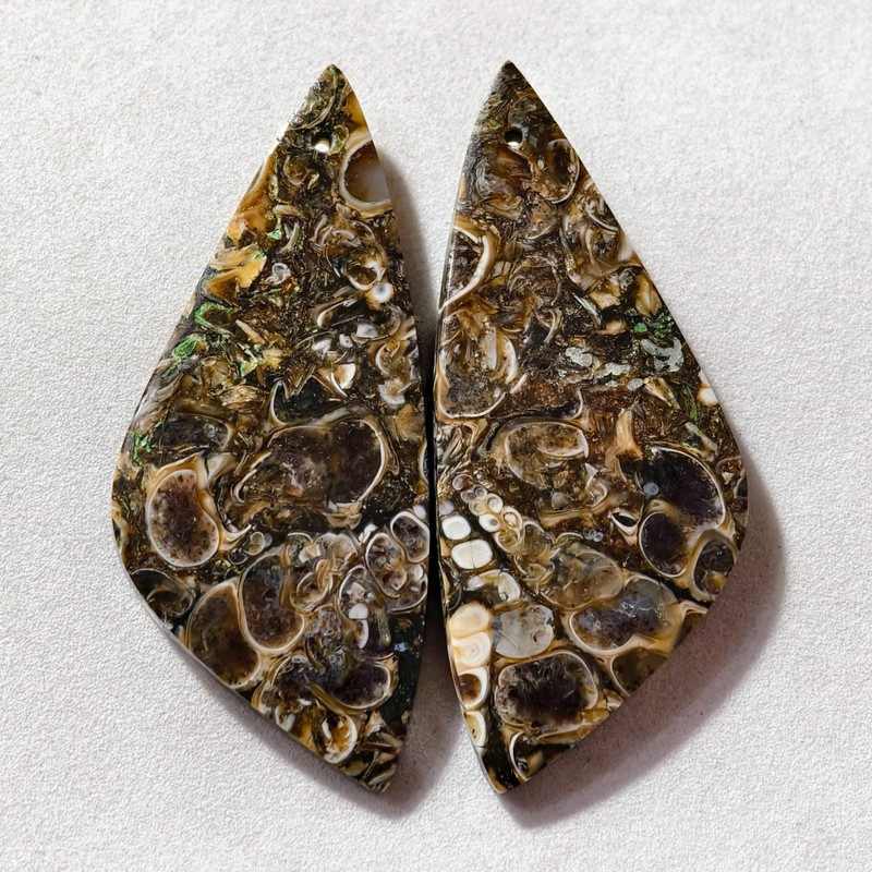64 Cts Natural Turritella Agate Drilled Pair Cabochon Gemstone 49 X 21 MM