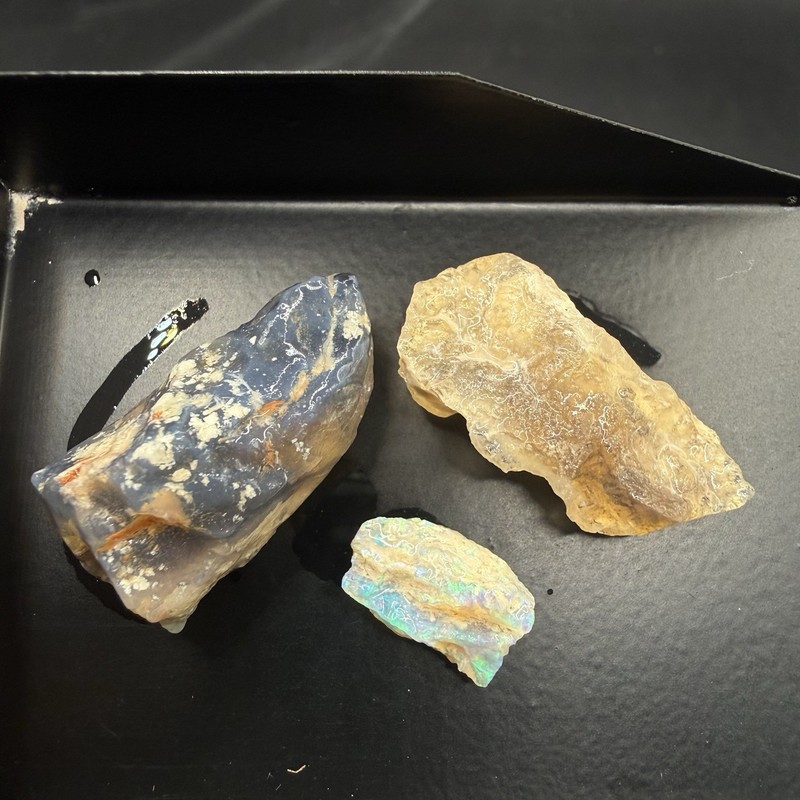 29.8 ct Lightning Ridge Assorted Opalised Fossil – Western Opal