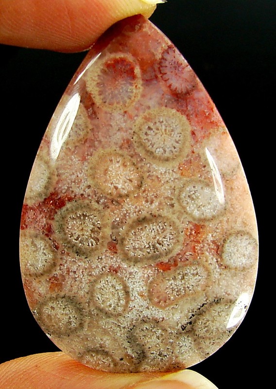 37.30 Ct Natural Fossil Coral Loose Gemstone Cabochon Wire Wrap Stone – 4608