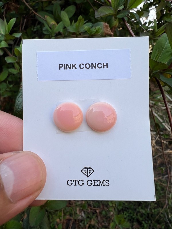 Pink Conch Matching pair Cabochon 12 mm, 2 Pieces (GTG-PC-1)