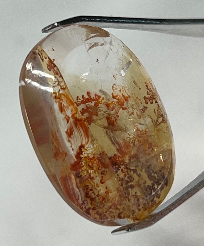 IPDI-1 Dendrite Quartz 33.70ct 30x22x6mm Oval, picture stone garden branches gallery