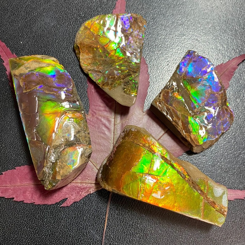 Real Canadian Ammolite Freeform Specimen Curved Surface Multiple Options gallery