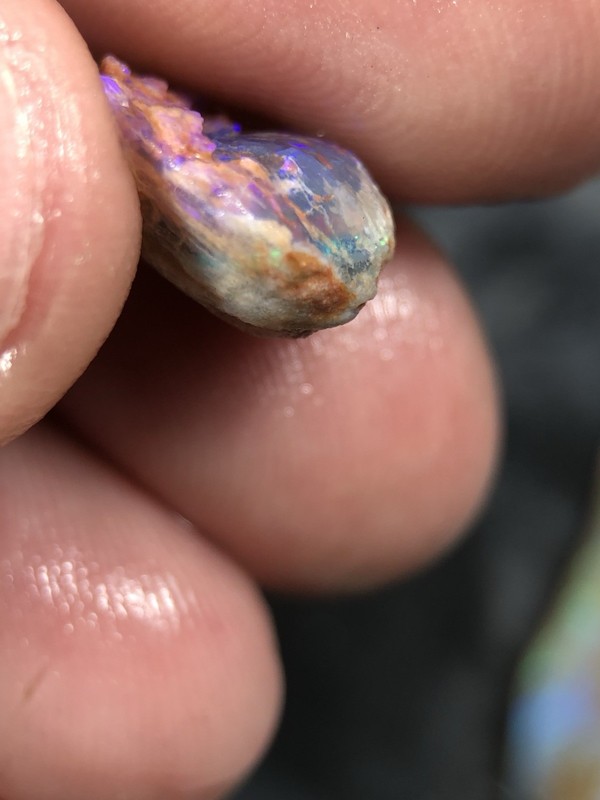 OPALISED Fossil 18x14x7mm 8.50 CT’s Bright Blue Green, Collect Or Carve gallery