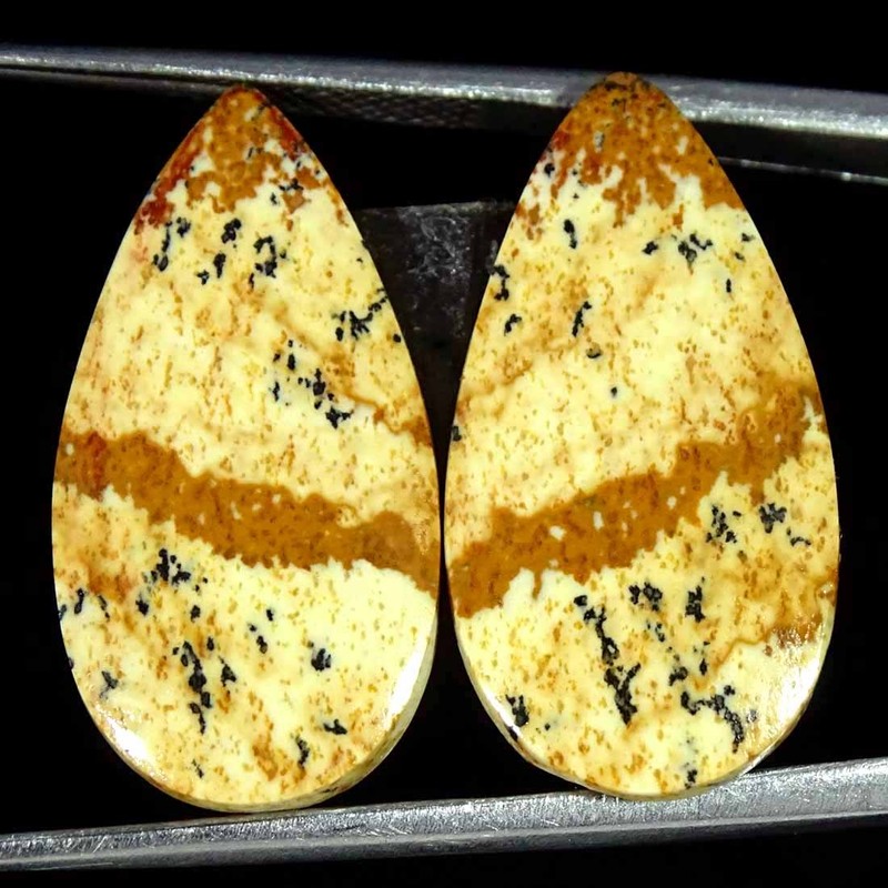 16.90Cts Natural Picture Jasper Cabochon Loose Gemstone Pair 12x23x3mm Pear