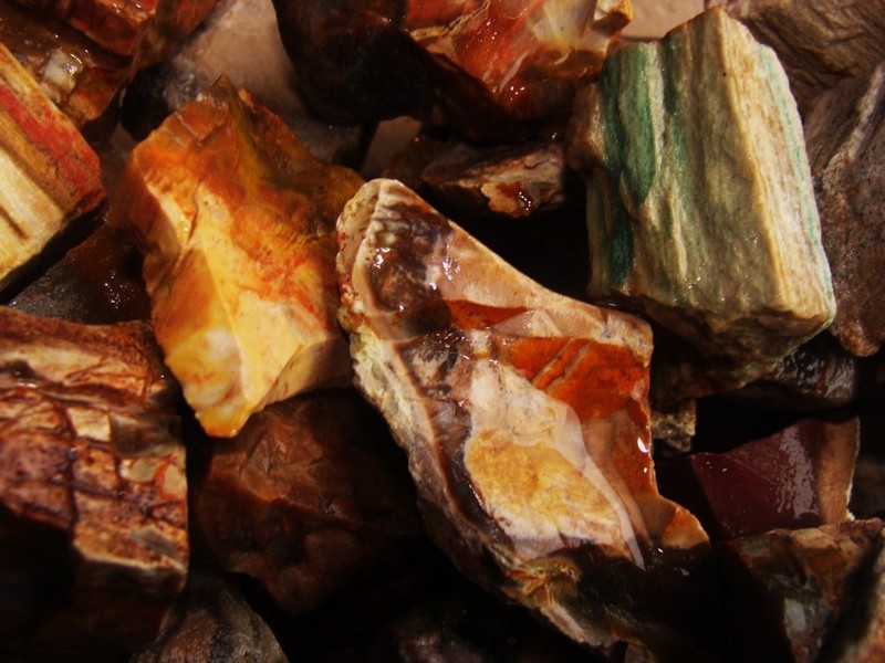 1000 Carat Lots of Unsearched Petrified Wood + a FREE Faceted Gemstone gallery