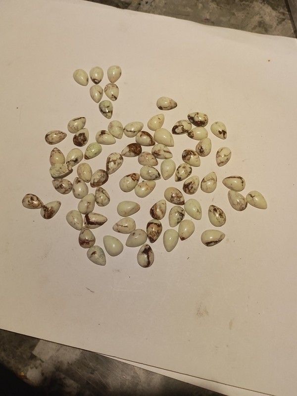 Varicite Cabochon Lot 240cts. Misc Calibrated Sizes 8x13mm