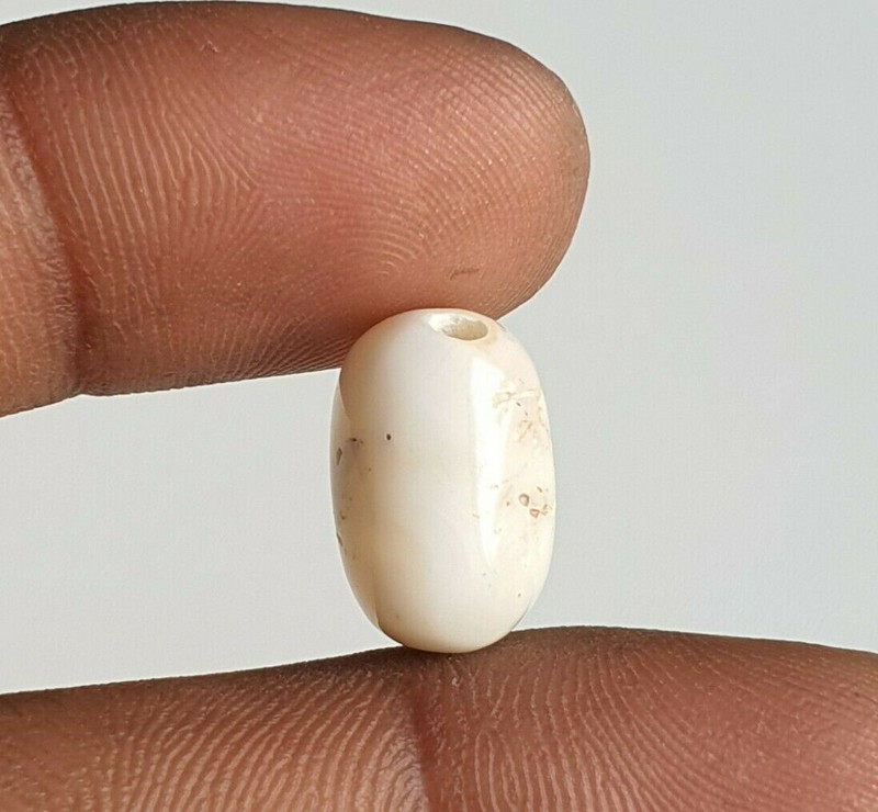15X10X7'MM Flat Oval White Natural Japanese Mediterranean Coral Loose Cabochon. gallery