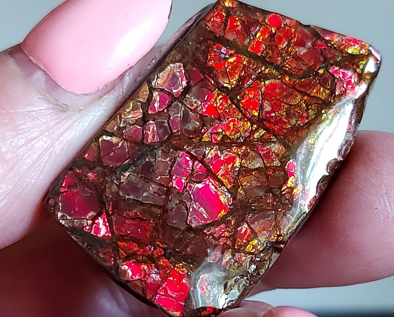 Ammolite Ammonite Coated Stone LARGE 39x25x5mm 4025