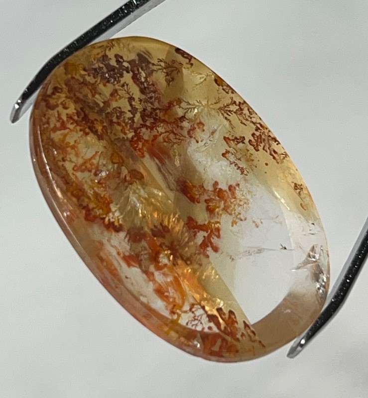 IPDI-1 Dendrite Quartz 33.70ct 30x22x6mm Oval, picture stone garden branches gallery