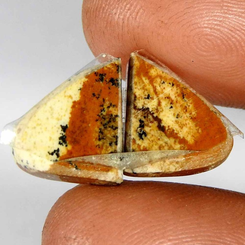 8.70Cts100%Natural Picture Jasper Fancy Pair Cabochon(12x10x4)Loose Gemstone gallery