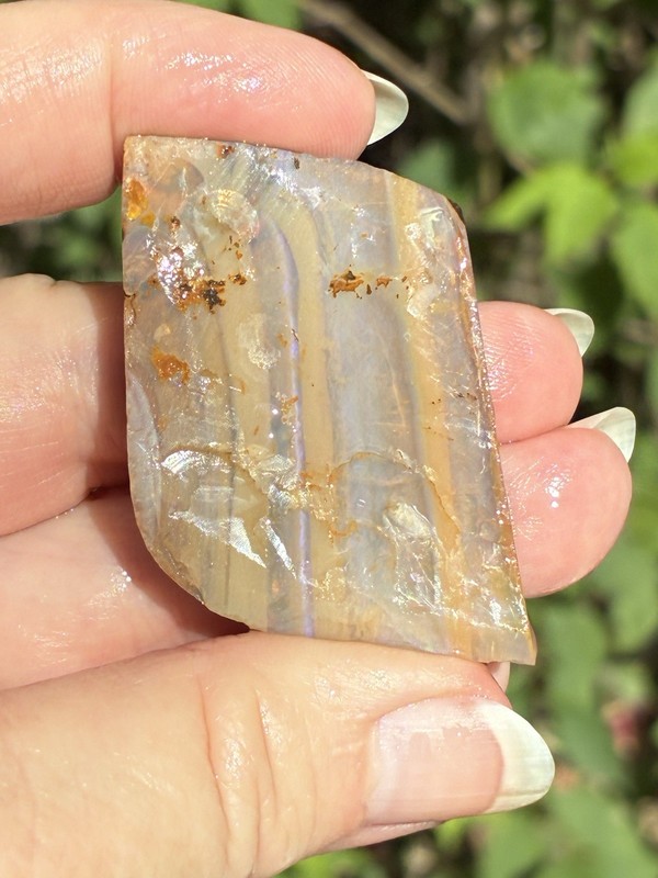 Large 113ct Australian Boulder Opal Rough Loose Specimen Colorless