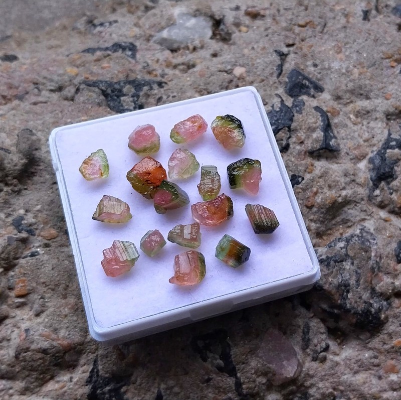 30 Carat 4 to 8 MM Natural Watermelon Bi-Color Tourmaline Raw Rough 17 Piece Lot