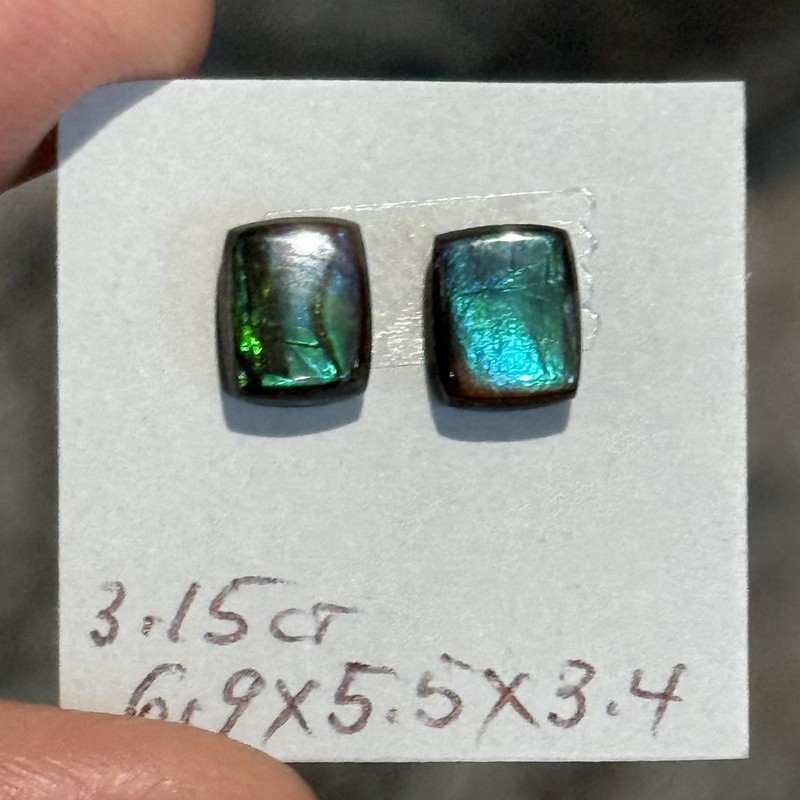 3.15ct 6.9×5.5×3.4mm Pair Peacock Green Genuine Ammolite Rectangle Cabochon Gems