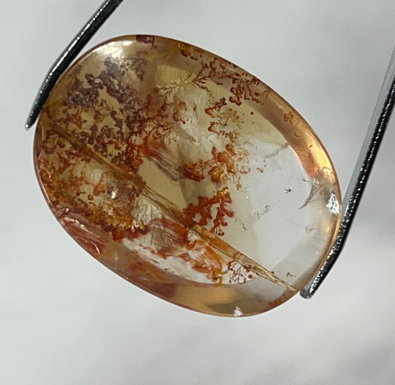 IPDI-1 Dendrite Quartz 33.70ct 30x22x6mm Oval, picture stone garden branches gallery