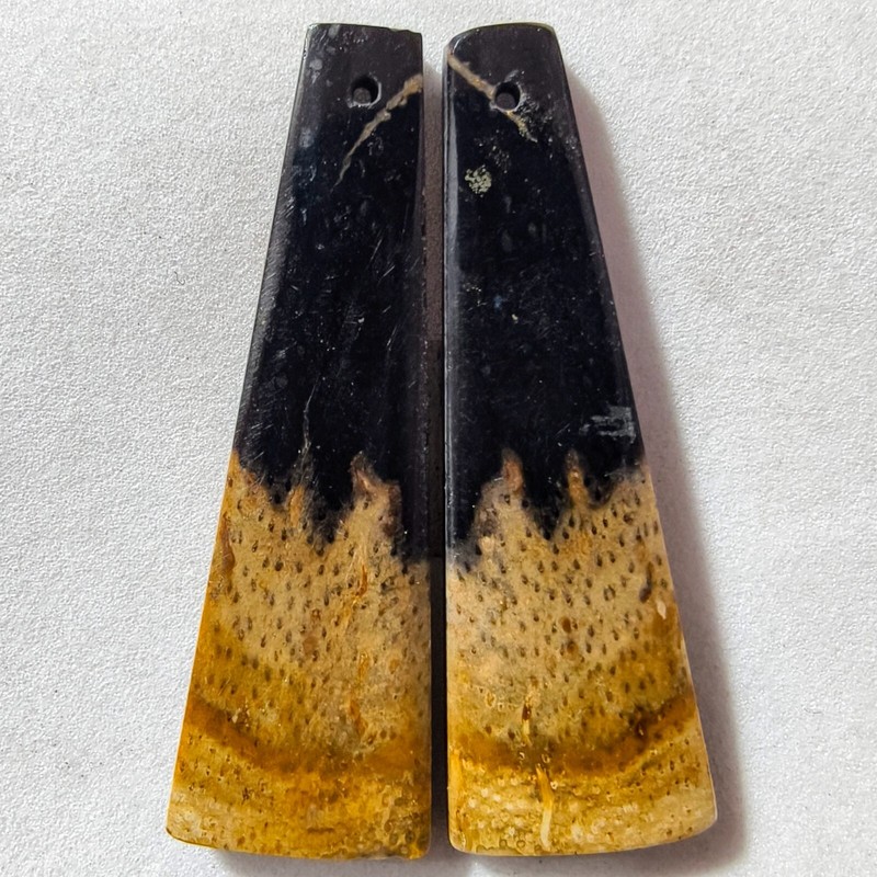 39 Cts Natural Fossilized Palm Root Drilled Match Pair Cabochon Gemstone