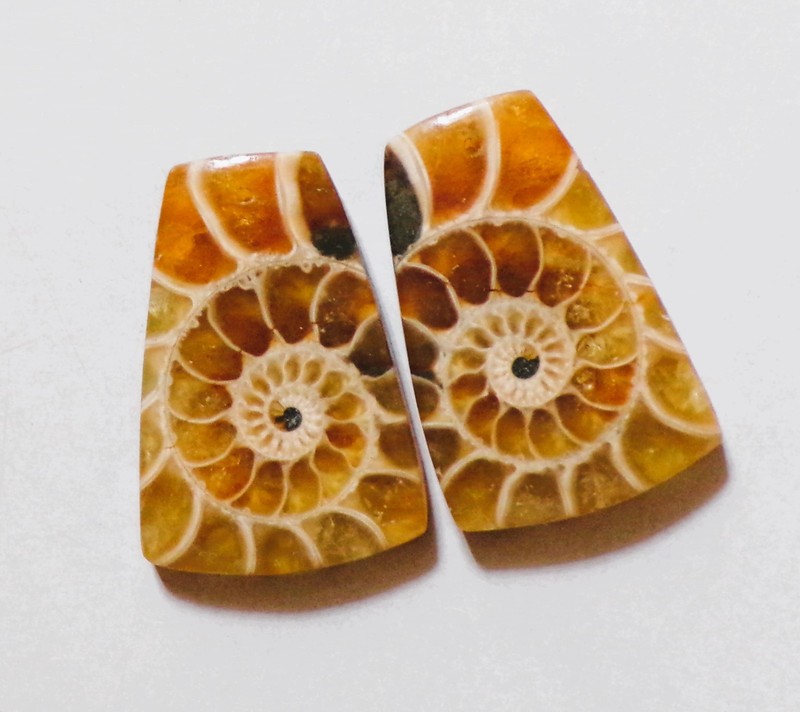 67.40 Cts Natural Ammonite Drilled Cabochon Match Pair Gemstone 32.6X21.3MM 85