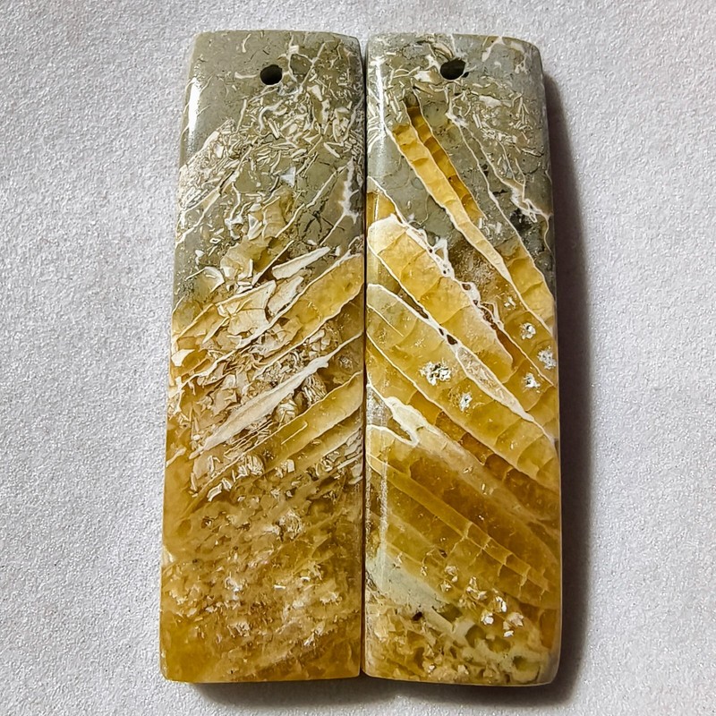 68 Cts Natural Fossilized Coral Drilled Match Pair Cabochon Gemstone