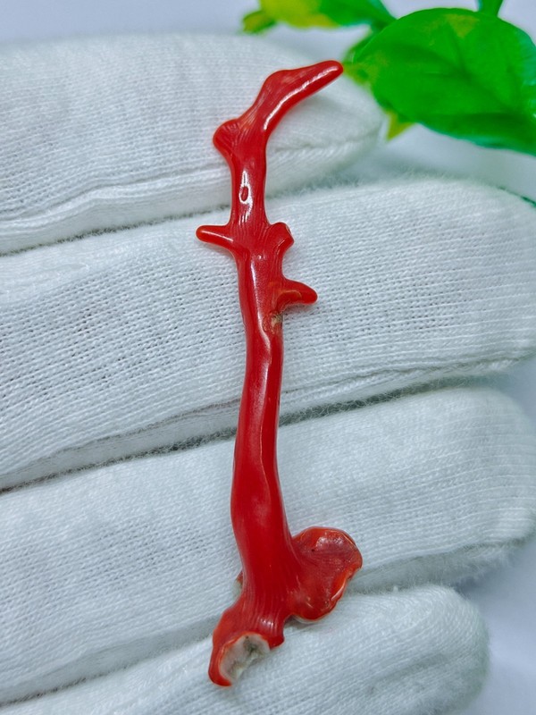 Italian Red Coral Stick Mediterranean Sea Organic Coral Polished Branch 10 Cts.