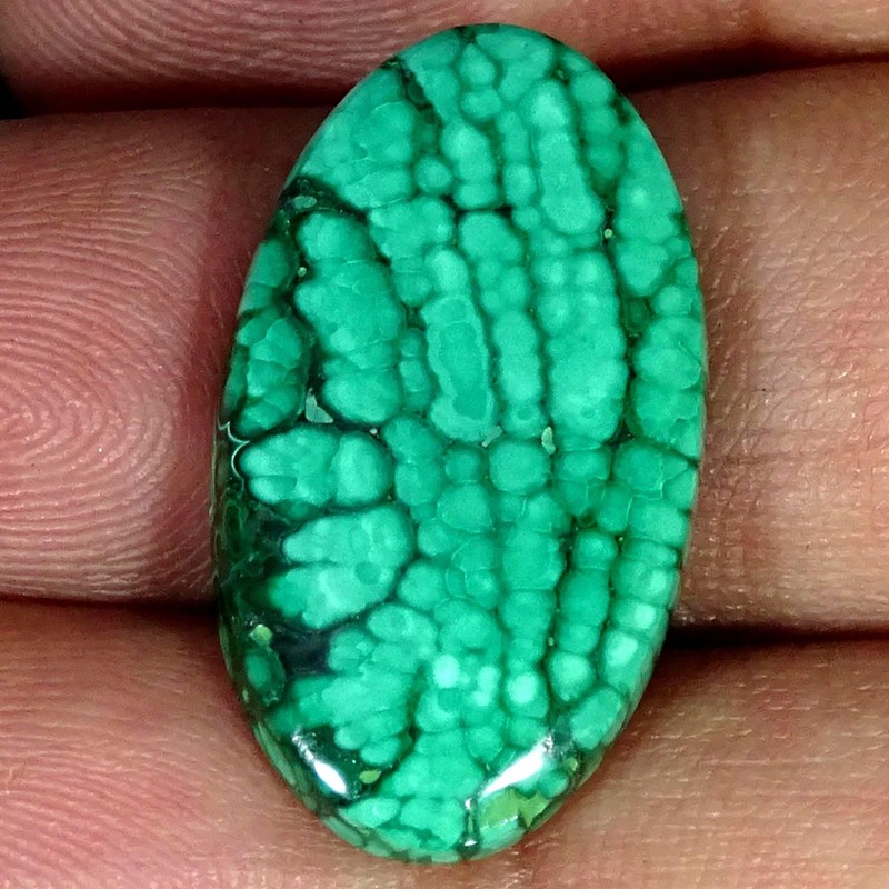 20.50Cts 100% Natural Royal Malachite Oval Cabochon Gemstone 15X26X4MM