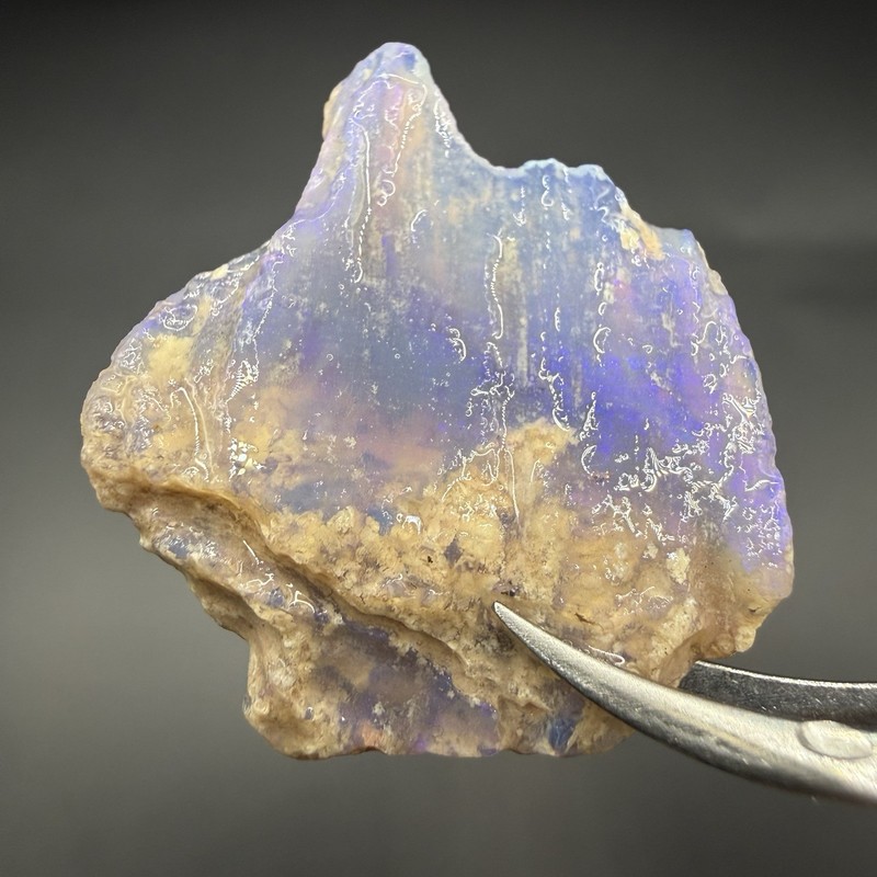 24.2 ct Lightning Ridge Fossilised Wood Opal – Western Opal