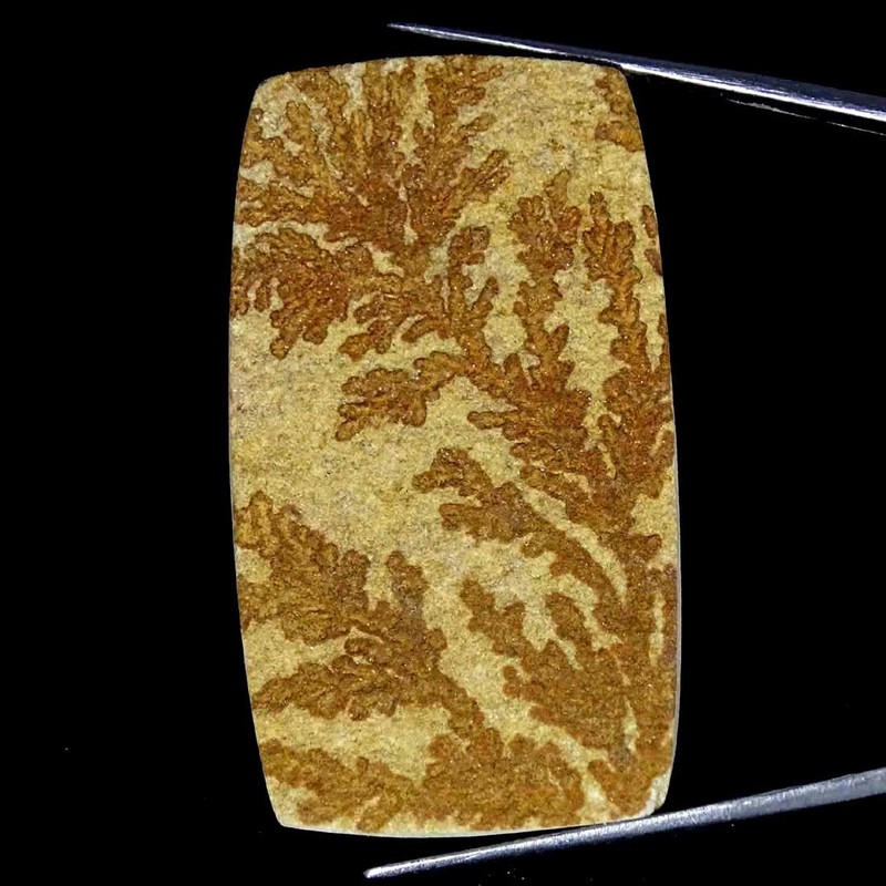 73.60Cts Natural Psilomelane Dendrite Cushion Cabochon loose Gemstone 30x53x4mm