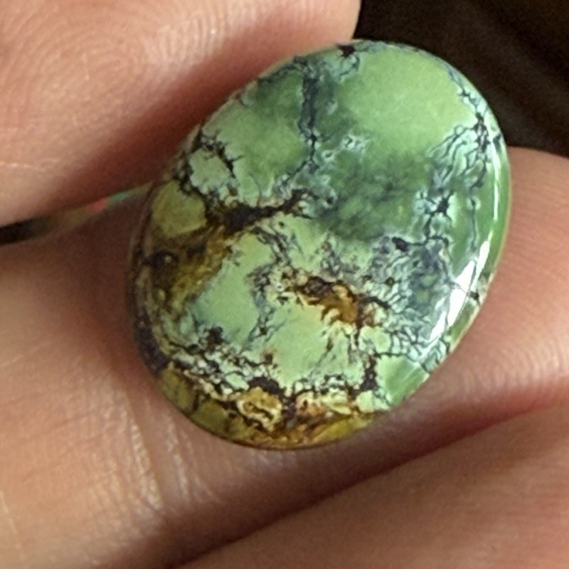 14.10ct 18.7c14.7x6.5mm Green Qingu Mine Turquoise Oval Cabochon Backed Stone gallery