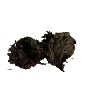 Alkanet Root (Ratanjot)