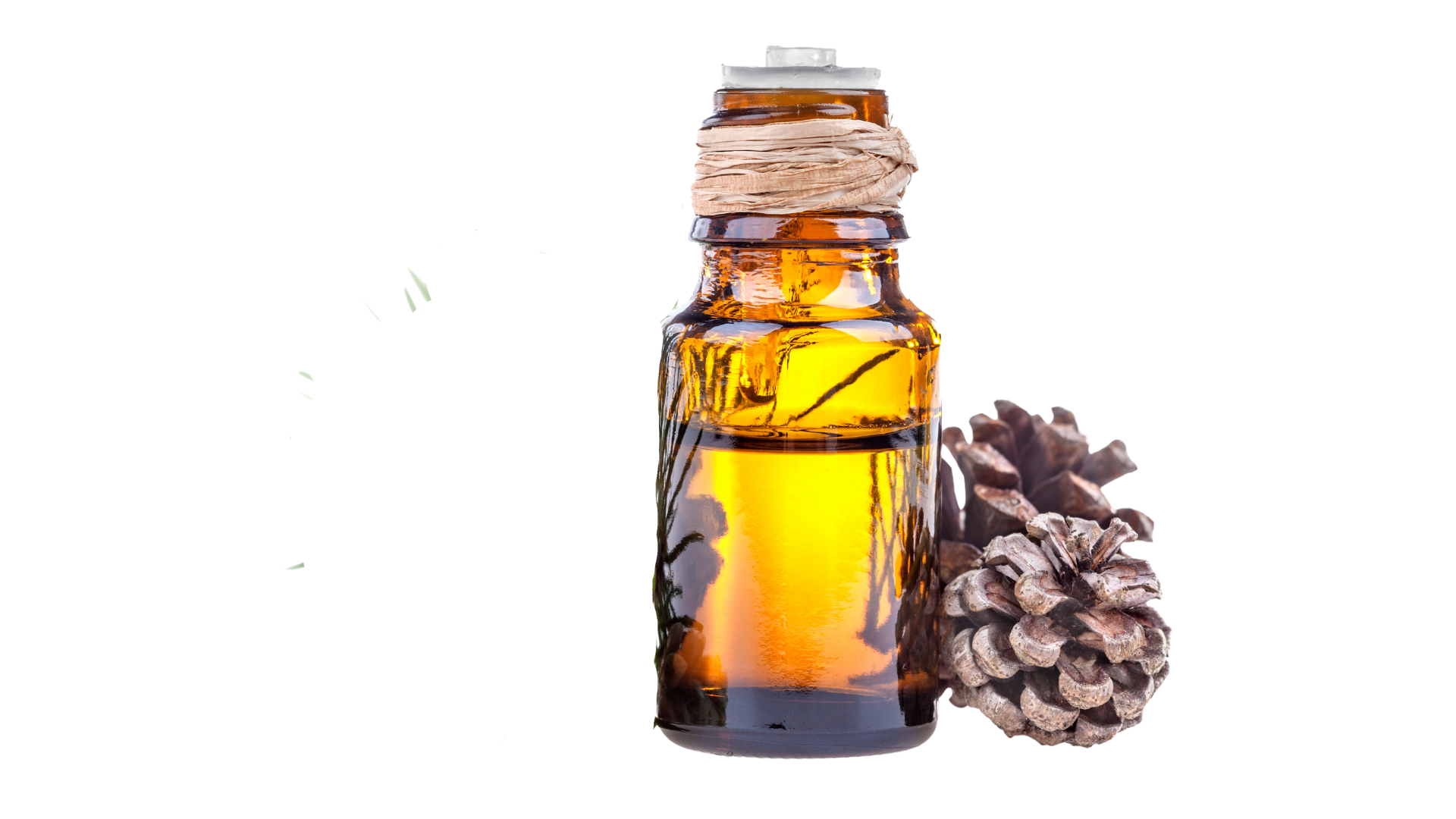 Cedarwood Essential Oil US FDA / Kosher / Halal Certified / ISO 22000:2018 Certified