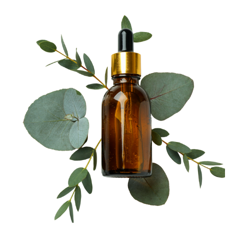 Eucalyptus Essential Oil US FDA / Kosher / Halal Certified / ISO 22000:2018 Certified