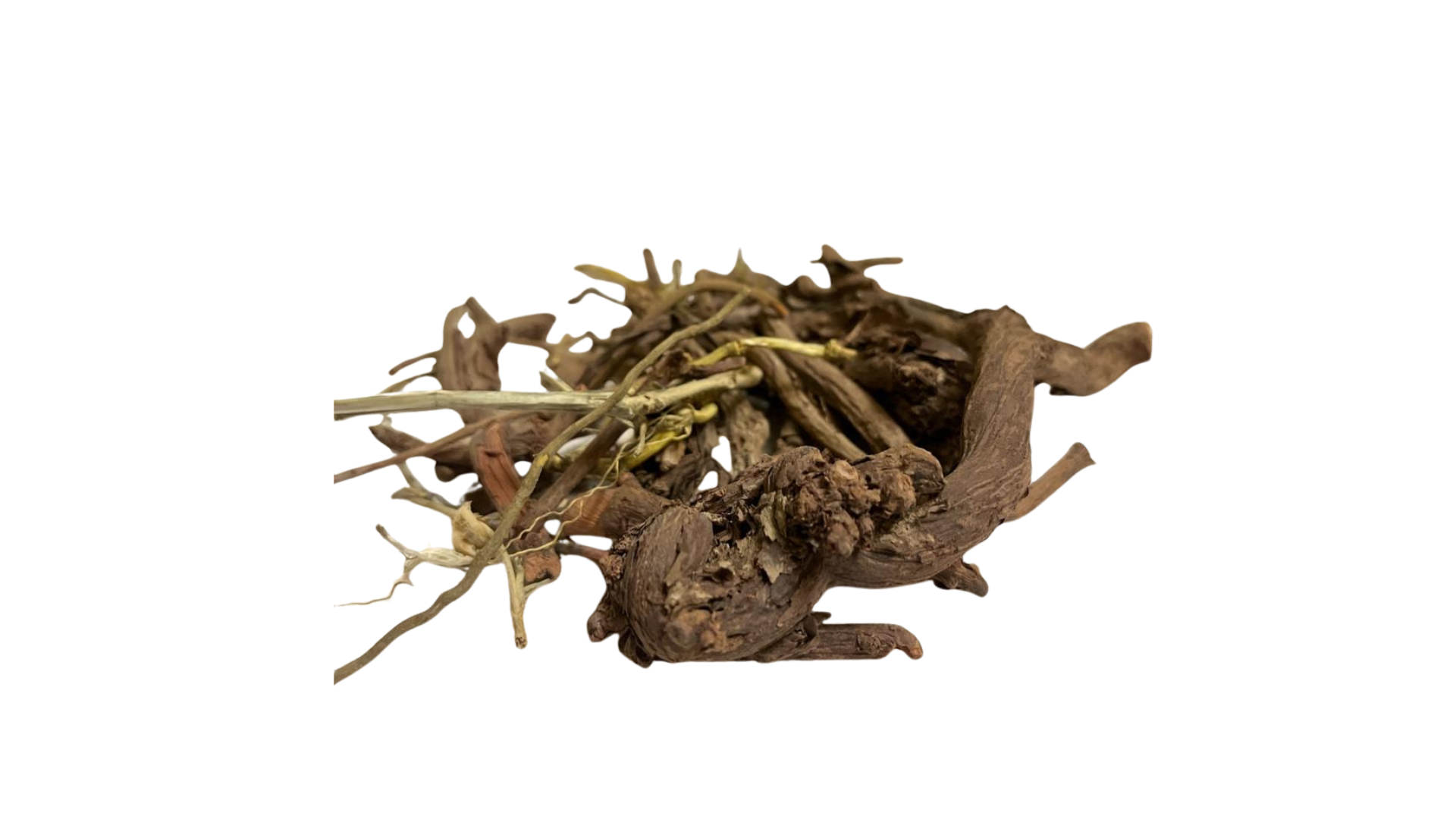 Manjistha Root (Indian Madder) – Natural Blood Purifying & Skin Care Herb