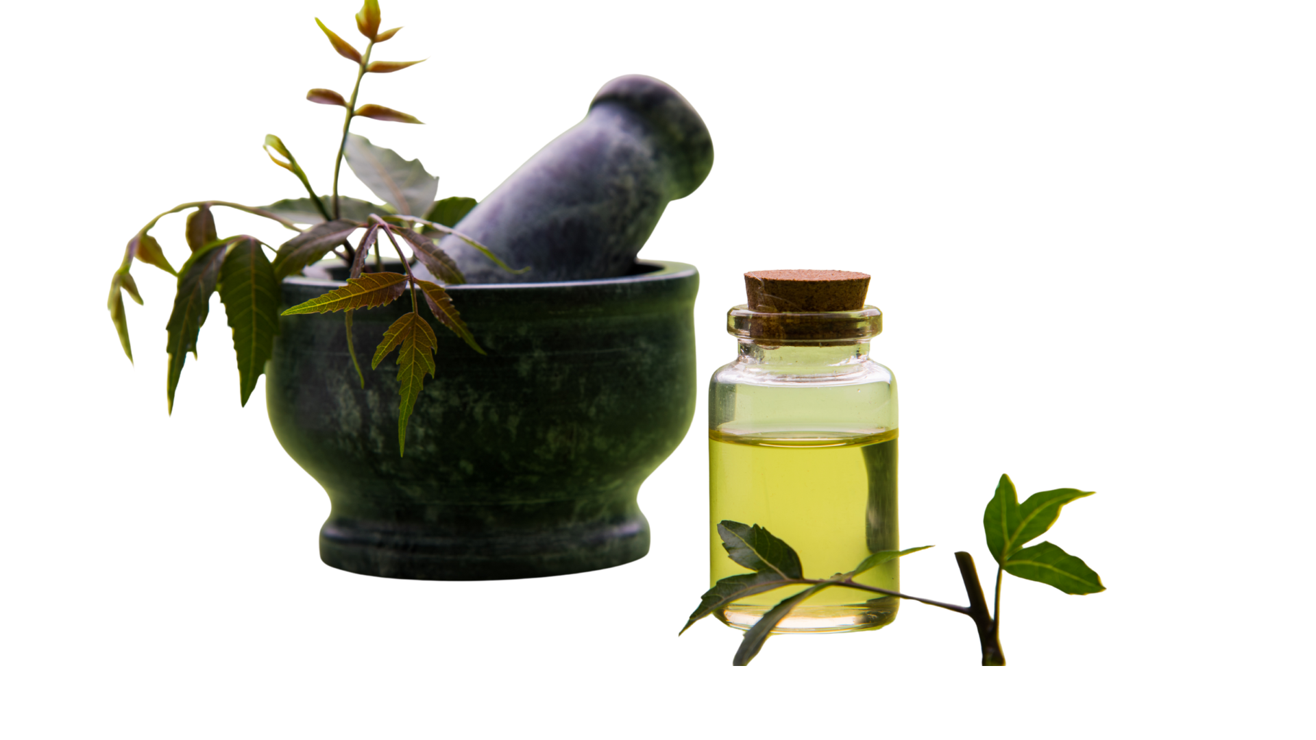 Neem Oil – Pure & Natural Oil for Skin, Hair & Scalp Care.