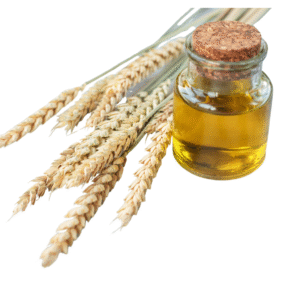 Wheat Germ Oil – Nutrient Rich & Skin Nourishing Carrier Oil